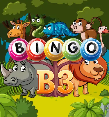 B3 Bingo